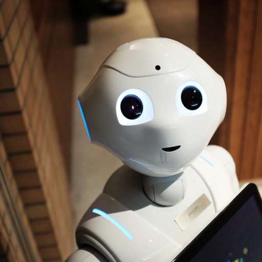 Les restaurants seront-ils dirigés par des robots ?
